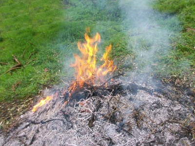 foto di un fuoco che brucia residui vegetali