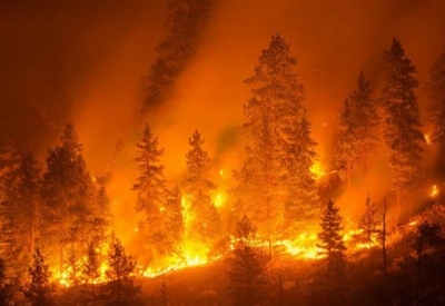 Ordinanza sindacale per l&#039;applicazione di misure di prevenzione rischio incendi boschivi 2021